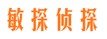 高淳侦探